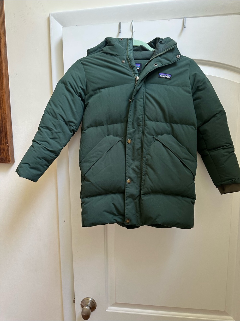 Patagonia Kids Downdrift Parka